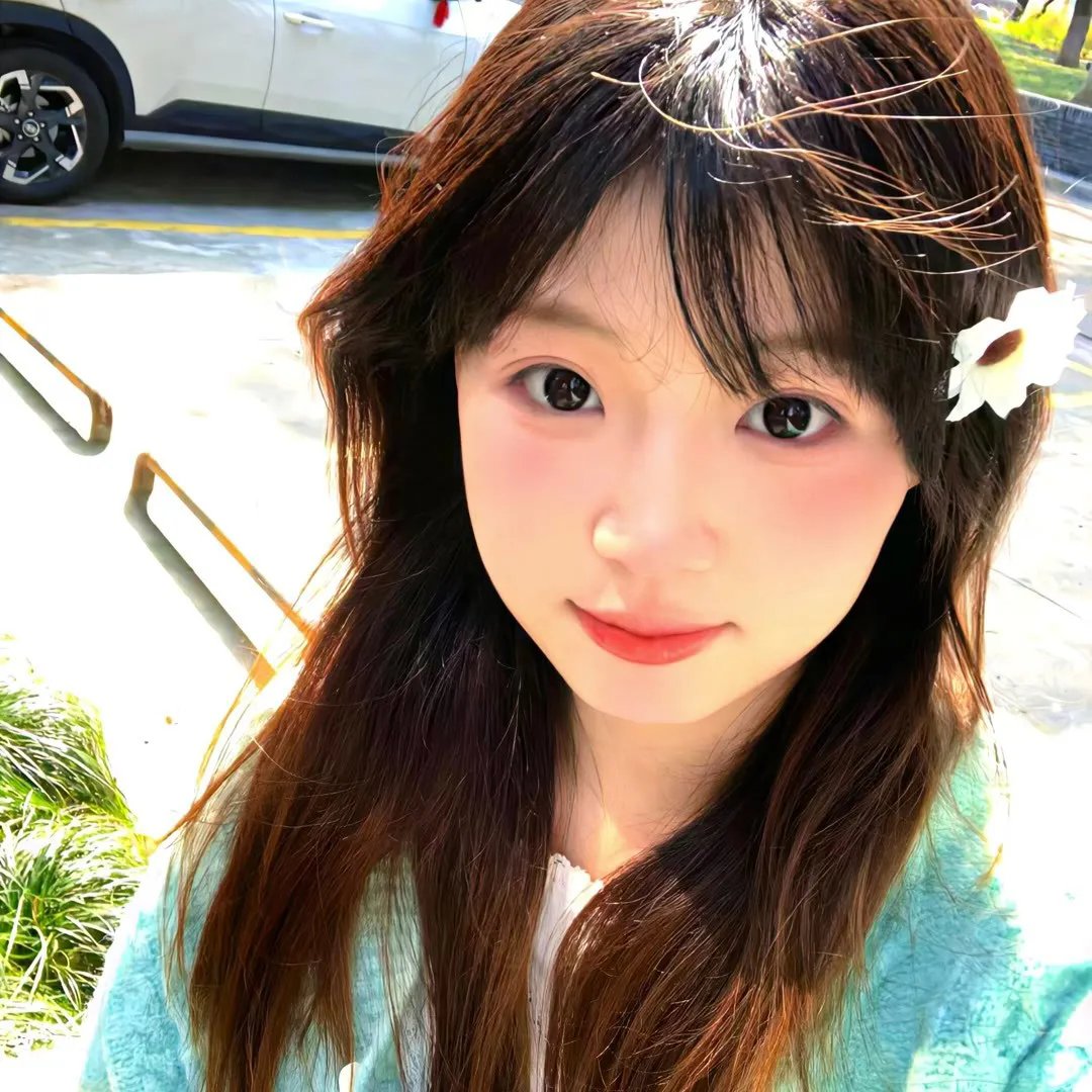 岗上花开